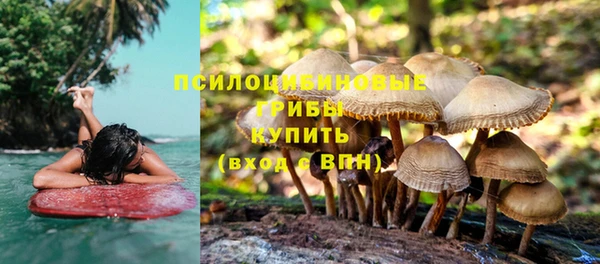 герыч Новозыбков